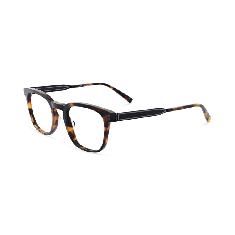 tn03